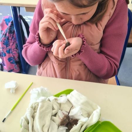 *Prendre soin du vivant à l’École Saint Loup* - Ensemble scolaire Saint-Jacques