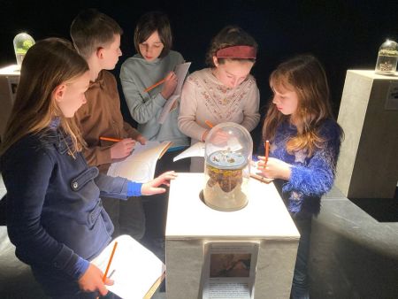 Immersion au Théâtre d'Auxerre - Ensemble scolaire Saint-Jacques