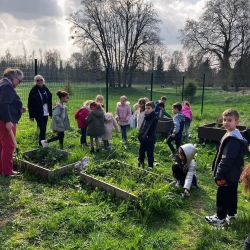 *Le Potager de l'École Saint Loup fait son printemps !* - Ensemble scolaire Saint-Jacques