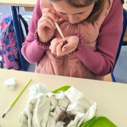*Prendre soin du vivant à l’École Saint Loup* - Ensemble scolaire Saint-Jacques