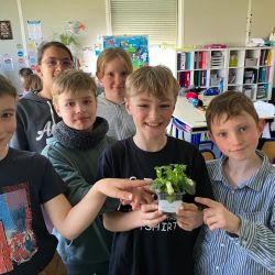 *Les CM de l'École Saint Loup à Brienon sur Armançon en pleine démarche scientifique !* - Ensemble scolaire Saint-Jacques