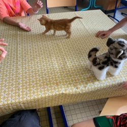 Classe Ulys - Ensemble scolaire Saint-Jacques