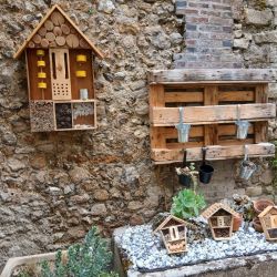 Le Club Nature à Saint-Jacques - Ensemble scolaire Saint-Jacques